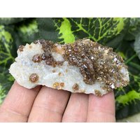 Sphalerit | Kleophan Quartz Madan Bulgarien Natürliche Kristall Mineralien Probe Cluster Souvenirs Wholesalemineralsbox von migiminerals