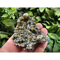 Sphalerit | KleophanGalena Quartz Madan Bulgarien Natürliche Kristall Mineralien Muster Cluster von migiminerals