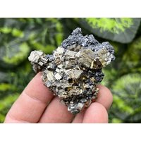 Sphalerit Pyrit Madan Bulgarien Natürliche Kristallmineralien Mustercluster Souvenirs von migiminerals