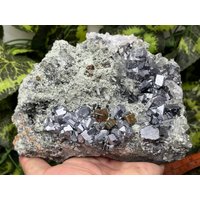 Sphalerit Quarz Chlorit Galena Pyrit Madan, Bulgarien von migiminerals