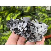 Sphalerit Quarz Madan Bulgarien Natürliche Kristallmineralien Probe Cluster Souvenirs von migiminerals