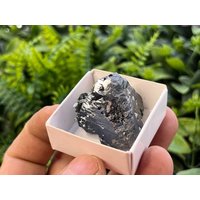 Sphalerite Quarz Chlorit Madan Bulgarien Natürlichen Kristall Mineralien Probe Cluster Souvenirs von migiminerals