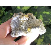 Sphalerite Quarz Madan Bulgarien Natürliche Kristallmineralien Mustercluster von migiminerals