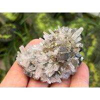 Super Quarz Sphalerit Chalkopyrit Pyrit Deveti Septemvri Mine Madan, Bulgarien Super Quarz Sphalerit Chalkopyrit Pyrit Deveti Septemvri Mine Madan, Bulgarien von migiminerals