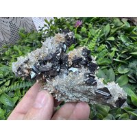Super Quarz Sphalerit Gyudyurska Mine Erma Reka Bulgarien von migiminerals