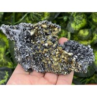 Super Quarz Sphalerit Pyrit Chalkopyrit Deveti Septemvri Mine Madan, Bulgarien Super Quarz Sphalerit Pyrit Chalkopyrit Deveti Septemvri Mine Madan, Bulgarien von migiminerals