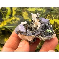 Top Galena Sphalerit Quarz Chlorit Gyudyurska Mine-Erma Reka Bulgarien von migiminerals