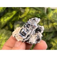 Top Galenit Morphologie Sphalerit Calcit -Deveti Septemvri Mine-Madan Bulgarien Natürliche Mineralien Probe Cluster Top Galenit Morphologie Sphalerit Calcit -Deveti Septemvri Mine-Madan Bulgarien Natürliche Mineralien Probe Cluster von migiminerals