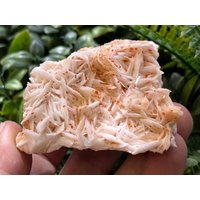 Vanadinit Baryt Marokko Natürliche Kristallmineralien Mustercluster Souvenirs Wholesalemineralsbox von migiminerals