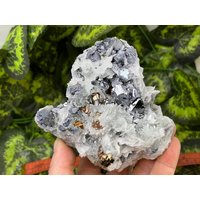 Wunderbar Sphalerit-Galena-Calcit-Quarz Borieva Mine-Madan Bulgarien Natürliche Kristallmineralien Probe Wunderbar Sphalerit-Galena-Calcit-Quarz Borieva Mine-Madan Bulgarien Natürliche Kristallmineralien Probe von migiminerals