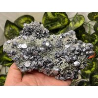 Wunderbare Galena Sphalerit Quarz Chlorit Borieva Mine Madan, Bulgarien Natürliche Kristallmineralien Wunderbare Galena Sphalerit Quarz Chlorit Borieva Mine Madan, Bulgarien Natürliche Kristallmineralien von migiminerals