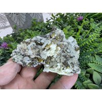 Wunderbare Sphalerit(Kleeophan Quarz Septemvri Mine Madan Bulgarien Wunderbare Sphalerit(Kleeophan Quarz Septemvri Mine Madan Bulgarien von migiminerals