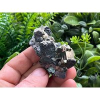 Wunderbare Sphalerit-Pyrit Deveti Septemvri Mine-Madan Bulgarien Natürliche Mineralien Probe Cluster von migiminerals