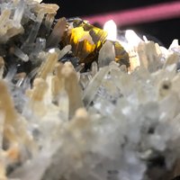 Wunderbarer Sphalerit | Kleeophan Quarz Calcit Deveti Septemvri Mine Madan Bulgarien von migiminerals