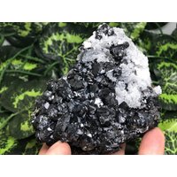 Wunderschöner Pyrit-Quarz-Sphalerit-Borieva Mine-Madan Bulgarien von migiminerals