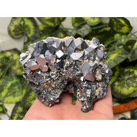 Wundervoll - Galenit Sphalerit Pyrit Quarz Drujba Mine-Lucky Bulgarien Kristall Mineralien Probe von migiminerals