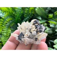 Wundervoller Quarz-Galenit-Sphalerit-Calcit Krushev Dol Mine-Madan Bulgarien Wundervoller Quarz-Galenit-Sphalerit-Calcit Krushev Dol Mine-Madan Bulgarien von migiminerals