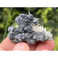 Wundervoller-Quarz-Sphalerit Galena Gyudyurska Mine-Madan Bulgarien Kristall Mineralien Probe Wundervoller-Quarz-Sphalerit Galena Gyudyurska Mine-Madan Bulgarien Kristall Mineralien Probe von migiminerals