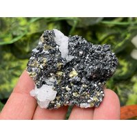 Wundervoller Quarz Sphalerit Galenit Calcit Chalcopyrit Deveti Septemvri Bergwerk Madan Bulgarien Natürliche Kristall Mineralien Probe Wundervoller Quarz Sphalerit Galenit Calcit Chalcopyrit Deveti Septemvri Bergwerk Madan Bulgarien Natürliche Kristall Mineralien Probe von migiminerals