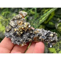 Wundervoller Sphalerit-Galenit-Pyrit Quarz Chalkopyrit Borieva Mine=Madan Bulgarien Wundervoller Sphalerit-Galenit-Pyrit Quarz Chalkopyrit Borieva Mine=Madan Bulgarien von migiminerals