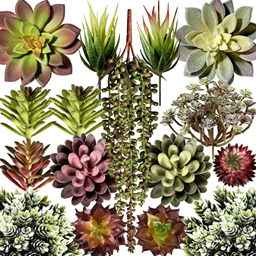 miltonson Künstliche Sukkulenten-Pflanzen, Sortiert, 16 Stück, ungetopftes Gesicht, Sukkulenten-Pflanzen, künstliche Pflanzen zur Dekoration, künstliche Aloe-Kaktus-Pflanze von miltonson