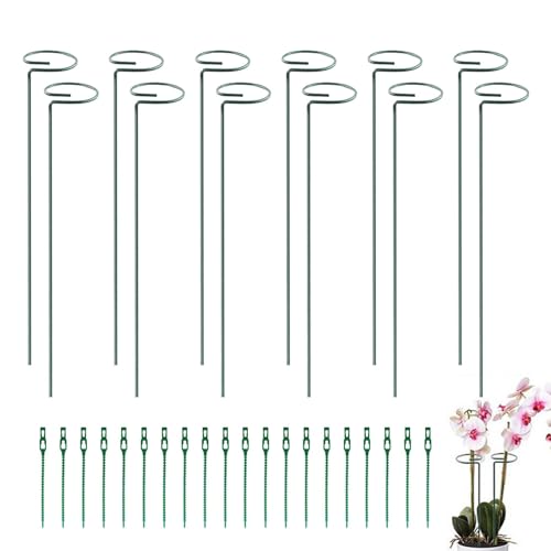 Pflanzenstützpfähle,Gartenpfähle für Pflanzen,12 Stück Pflanzenstielstützen für Blumen - Metall-Pflanzenstütze, Garten-Blumenstecker mit 20 Kabelbindern für Pflanzen, Blumen, Tomaten von mimika
