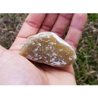 Durchscheinendes Agatisiertes Holz | Eastern Washington Trommeltier von mineralmercantile