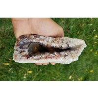 Riesiger Befestigungs-Plume-Achat-Botryoidal-Wasserzeichenstein | Montana A+ von mineralmercantile