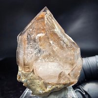 Enhydro Phantom Rauchquarz Zepter Fenster Quarz Goboboseb, Namibia 473922mm von mineralodo