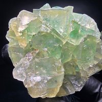 Klare Phantom Fluorit Würfel Stufe Grün Gelb Okorusu Namibia 534718mm Sammlung Klare Phantom Fluorit Würfel Stufe Grün Gelb Okorusu Namibia 534718mm Sammlung von mineralodo