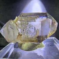 Klare Phantom Rauchquarz Doppelender Zepter Stufe 291411mm Goboboseb Namibia von mineralodo
