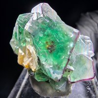 Phantom Fluorit Würfel, Muskovit Stufe Erongo, Namibia 262017mm Sammlung von mineralodo