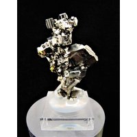 Das Perfekte Geschenk Für Sammler-Cluster Aus Pyrit Das Perfekte Geschenk Für Sammler-Cluster Aus Pyrit von mineraluniverse