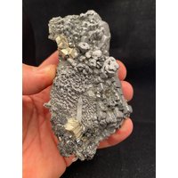 Erstaunliches Geschenk Für Sammler - "Lizard Skin" Galena, Sphalerit-Marmatit, Pyrit Und Quarz von mineraluniverse