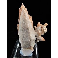 Geschenk Für Sammler Seltene Calcit Kristalle #2219 - Jetzt Im Angebot Geschenk Für Sammler Seltene Calcit Kristalle #2219 - Jetzt Im Angebot von mineraluniverse
