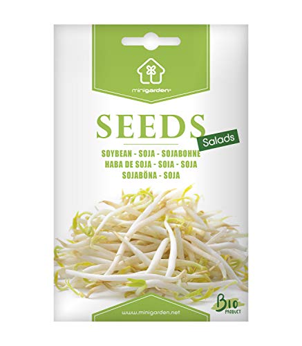 Bio-Sojasprossen-Samen von Minigarden – 100% natürlich, GVO-frei, bereit zur Aussaat, reproduzierbar – 32–48 Samen Bio-Sojasprossen-Samen von Minigarden – 100% natürlich, GVO-frei, bereit zur Aussaat, reproduzierbar – 32–48 Samen von minigarden