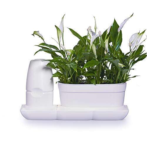 minigarden Basic S UNO, innovatives Starterset für einfachste Pflanzenpflege; ausgestattet mit automatischem Bewässerungs- und Düngesystem; ideal zum Aufstellen auf Fensterbänken und Tischen (Weiß) von minigarden