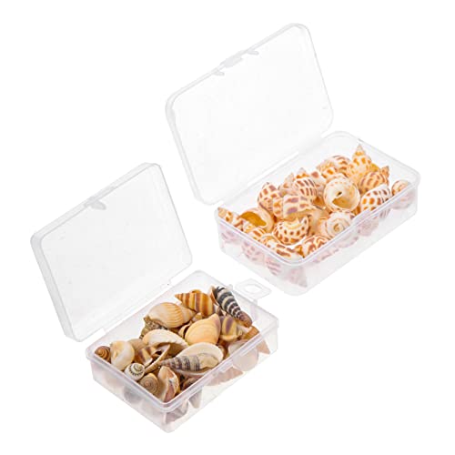 minkissy 2 Kisten Muschel des Einsiedlerkrebses Kletterspielzeug für Einsiedlerkrebse Pflanzgefäß für Seeigel stylingbã¼rsten stylingo Zubehör für Aquarien gehäuse natürliche Muscheldekore minkissy 2 Kisten Muschel des Einsiedlerkrebses Kletterspielzeug für Einsiedlerkrebse Pflanzgefäß für Seeigel stylingbã¼rsten stylingo Zubehör für Aquarien gehäuse natürliche Muscheldekore von minkissy