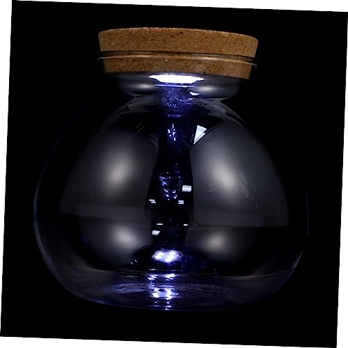 minkissy DIY Mikro Landschaft Flasche Terrarium Container Glasflasche Mit Led Licht Für Fische Und Pflanzen Dekoration von minkissy