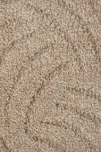 andiamo Teppichboden Meterware Emmy - Auslegware Teppichboden Bodenbelag Meterware aus strapazierfähigem Polyamid 500 x 600 cm Beige andiamo Teppichboden Meterware Emmy - Auslegware Teppichboden Bodenbelag Meterware aus strapazierfähigem Polyamid 500 x 600 cm Beige von andiamo