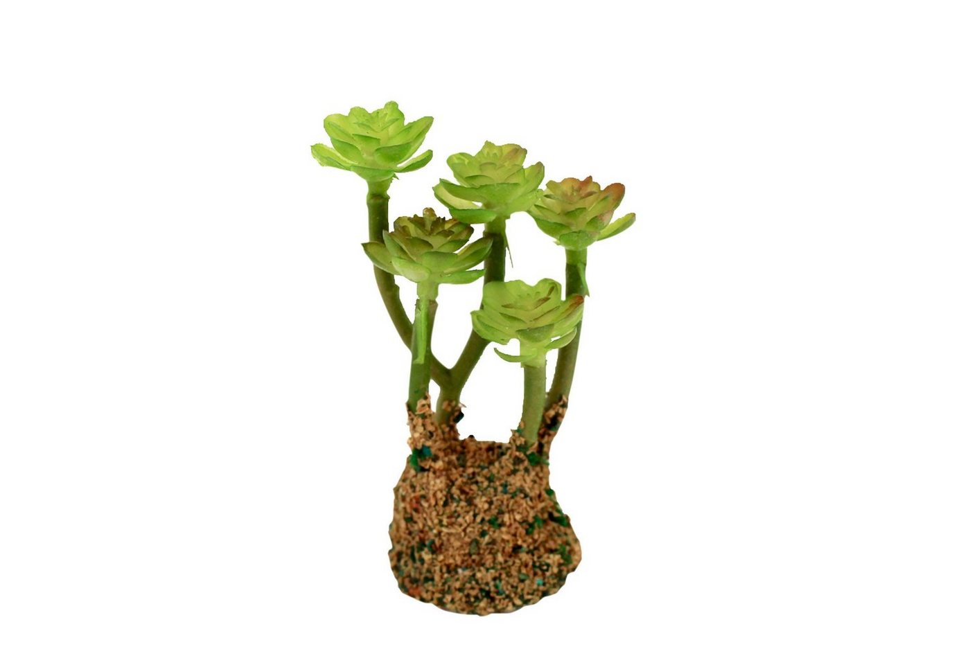mitienda mit liebe gemacht Krippen-Zubehör Krippenbotanik Kaktus 9 cm von mitienda mit liebe gemacht