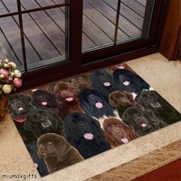Neufundland Fußmatte, Teppich, Matte, Perfektes Geschenk Für Hundeliebhaber, Hund Wohnkultur, Lustige Hundematte von miumaxgifts