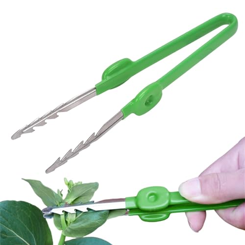 mivceklw Pinzettenwerkzeug mit langem Griff | Gerade Mehrzweckpinzette mit gezahnter Spitze - Edelstahlwerkzeug Gartenpinzette Futterzange für Kakteen und Sukkulenten im Garten von mivceklw