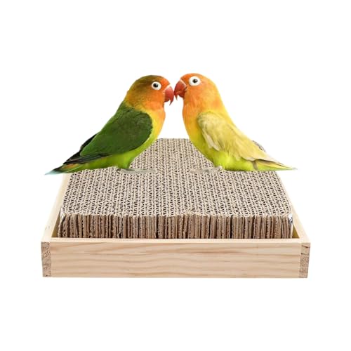mivceklw Vogel Sitzstangen Für Käfig | Spielzeug Aus Pappe Zum Knabbern,Kau Und Spiel Sitzstangen Zur Bereicherung Für Vögel Wie Finken Aras Nymphensittiche Keilschwanzsittiche Wellensittiche Für mivceklw Vogel Sitzstangen Für Käfig | Spielzeug Aus Pappe Zum Knabbern,Kau Und Spiel Sitzstangen Zur Bereicherung Für Vögel Wie Finken Aras Nymphensittiche Keilschwanzsittiche Wellensittiche Für von mivceklw