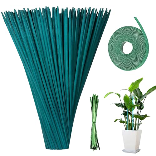 mizikuu 50 Stück Pflanzenstütze, 38CM Pflanzstab Bambus Pflanzenstab Rankhilfe mit Bindebändern Orchideenstab Plant Sticks Stütze Blumenstab Tomatenstäbe für Kletterpflanze Erweiterung von mizikuu