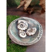 Insektentränke Keramik Ammoniten 16 cm - Vogeltränke Flach Handgemachtes Unikat Insektentränke Keramik Ammoniten 16 cm - Vogeltränke Flach Handgemachtes Unikat von mjArtsKeramik