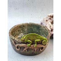 Keramikschale Mit Chamäleon 17, 5 cm Handgefertigte Unikatschale Dekoschale Handgemacht Keramikschale Mit Chamäleon 17, 5 cm Handgefertigte Unikatschale Dekoschale Handgemacht von mjArtsKeramik
