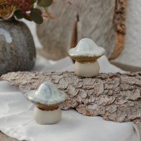 Pilz Skogstorp - Natur Pilz Skogstorp - Natur von mkonoDE