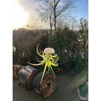 2-Er Set Seeigelquallen Klein Luftpflanze Seeigel Airplant Seeigelqualle Hängende Pflanze von moCushlar