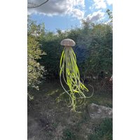 Luftpflanze Xxl Seeigel Airplant Seeigelqualle Hängende Pflanze Tillandsia Geschenk Deko von moCushlar